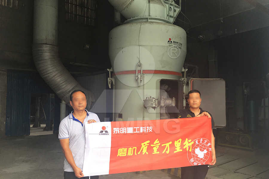 智利铁矿石公司  